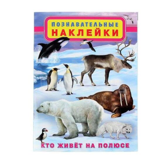Kids Book Art.103676