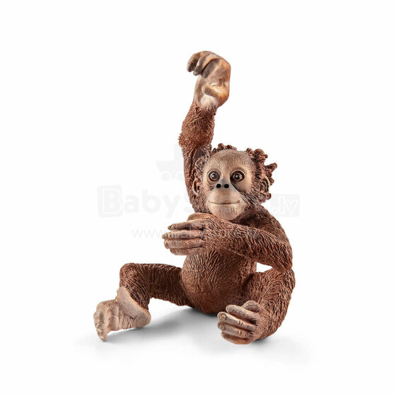 SCHLEICHO LAUKO GYVENIMAS Orangutano sūnus