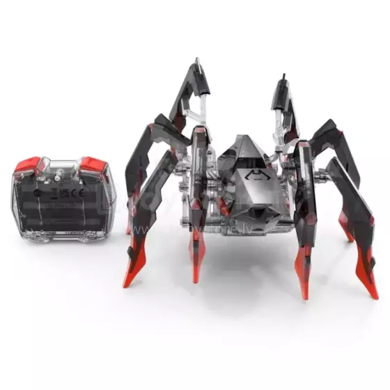 Black Widow Art.6071524