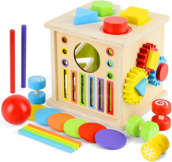 Kidsworld Montessori Wooden Art.152078 Montessori koka rotaļlieta , krāsu šķirošanas spēle, sensorā rotaļlieta, mazuļa formu šķirotājs,