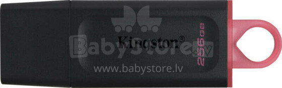 Kingston 256GB USB 3.2 Gen1 DataTraveler Exodia (черный + розовый)