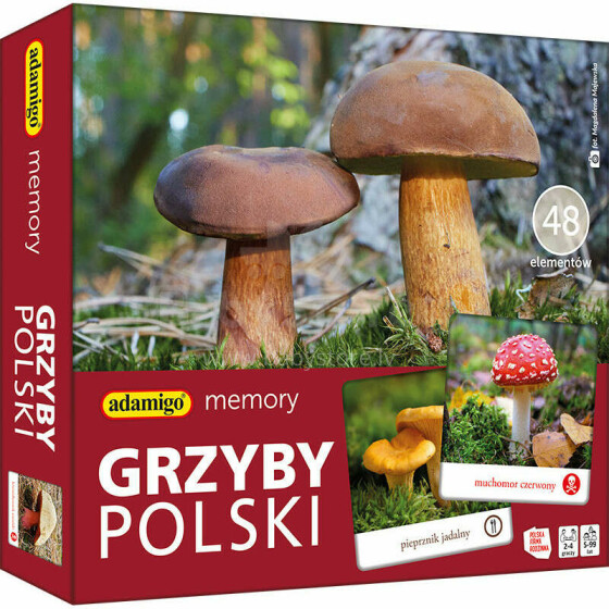 GRZYBY POLSKIE - MEMORY