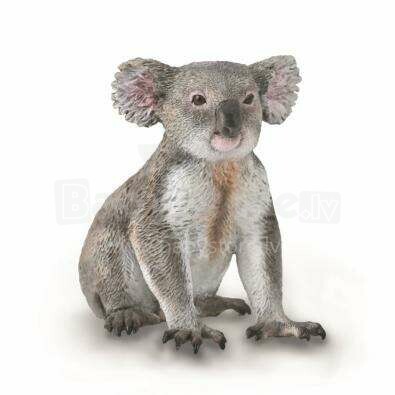COLLECTA Koala (M) 88940