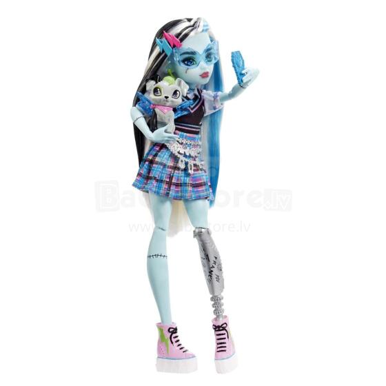 Mattel Monster High Art.HHK53  Lelle Frankie