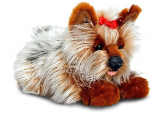 KEEL TOYS pehme mänguasi yorkie 30cm, SD5457