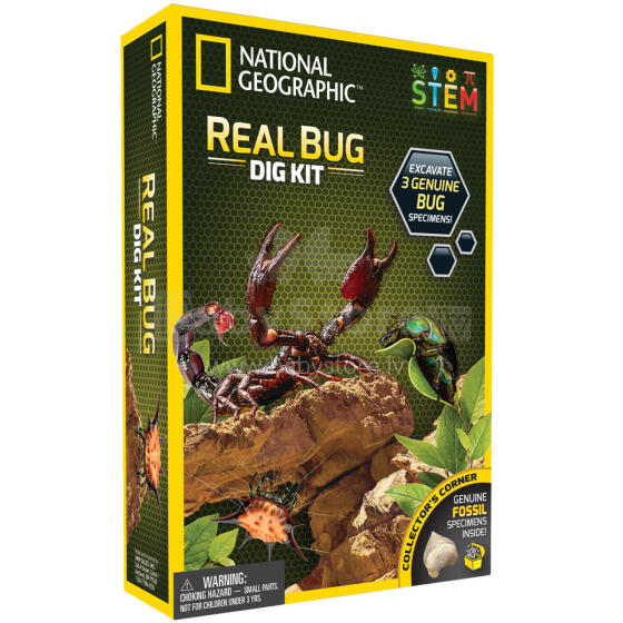 NATIONAL GEOGRAPHIC rinkinys Bug Dig Kit, NGBUG