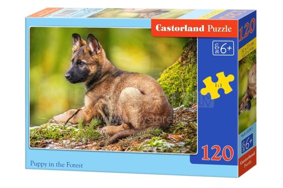 CASTORLAND puzzle Puppy in the Forest, 120 el. B-13258-1