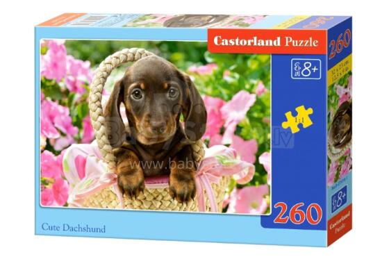 CASTORLAND puzzle Cute Dachshund, 260 el.  B-27514-1