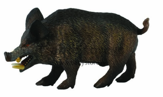 COLLECTA (M) Wild Boar  88363