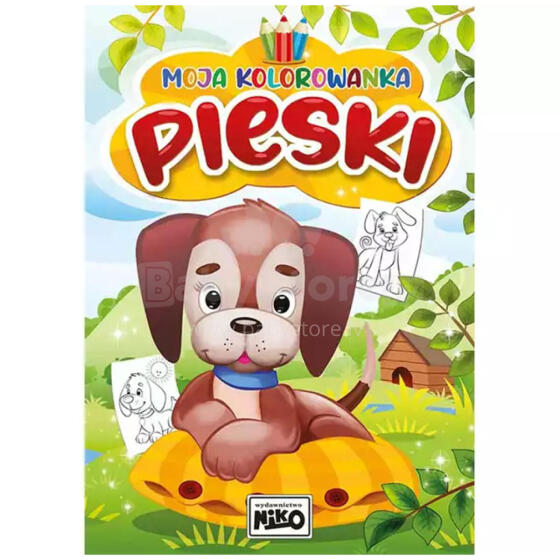 MOJA KOLOROWANKA PIESKI