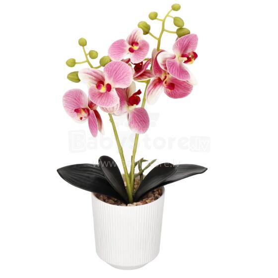 Dirbtinė orchidėja Springos HA7424