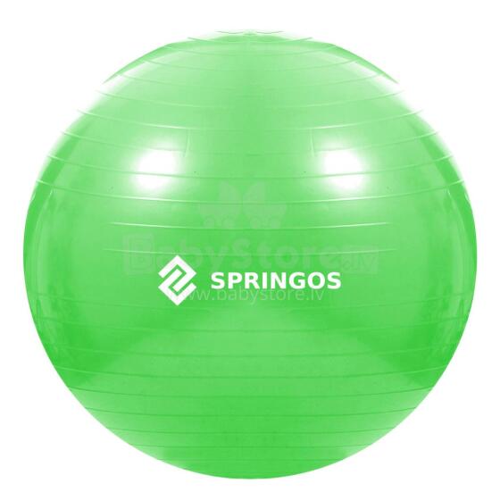 Treeningpall pumbaga Springos FB0007 65cm