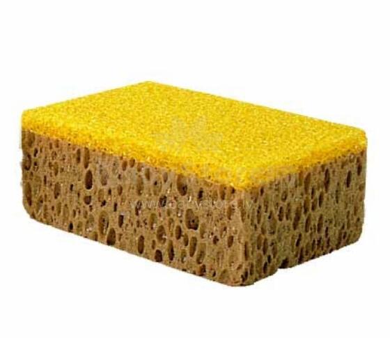 Sponge with abrasive KITTY 