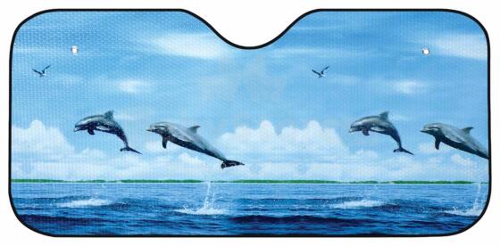 Auto vējstikla pārsegs DOLPHIN, 70x140cm 