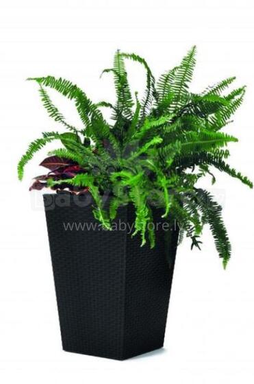 Puķu pods Rattan Planter S 23,6L pelēks