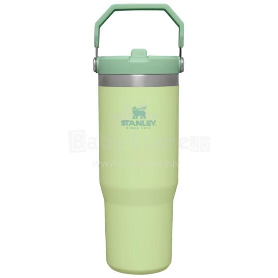 Termokrūze ar salmiņu The IceFlow Flip Straw Tumbler 0,89L gaiši zaļa