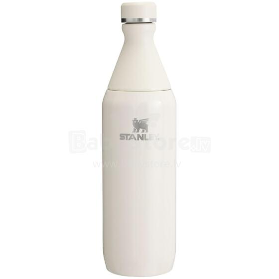 Thermo Bottle The All Day Slim Bottle 0,6L kreemjas v&auml;rvitoonis