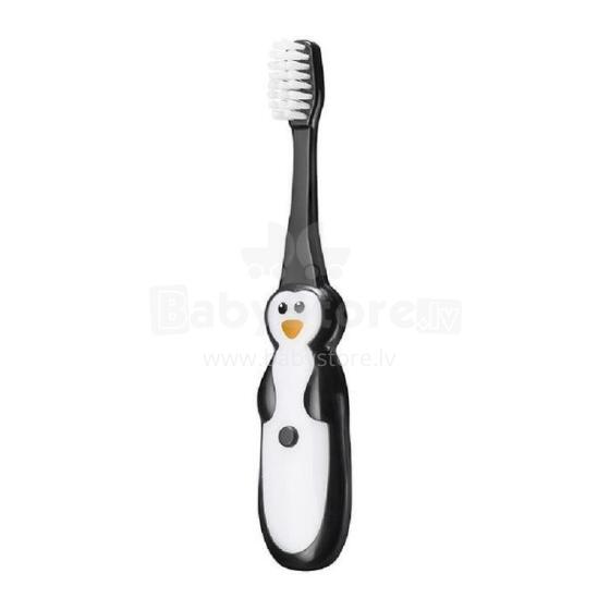 7088 PENGUIN/PANDA TOOTHBRUSH WITH TIMER DR SCOTT
