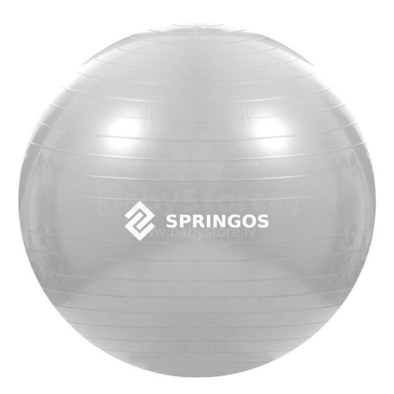 Vingrošanas bumba ar pumpi Springos FB0008 75cm