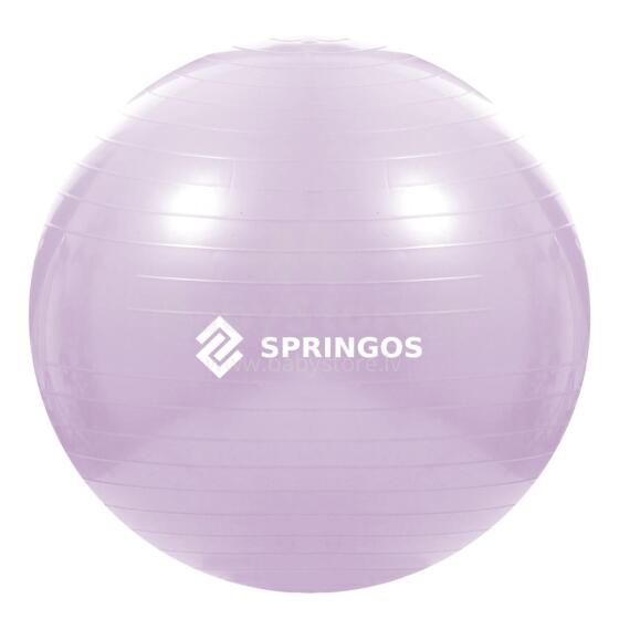 Exercise ball with pump Springos FB0011 65 cm