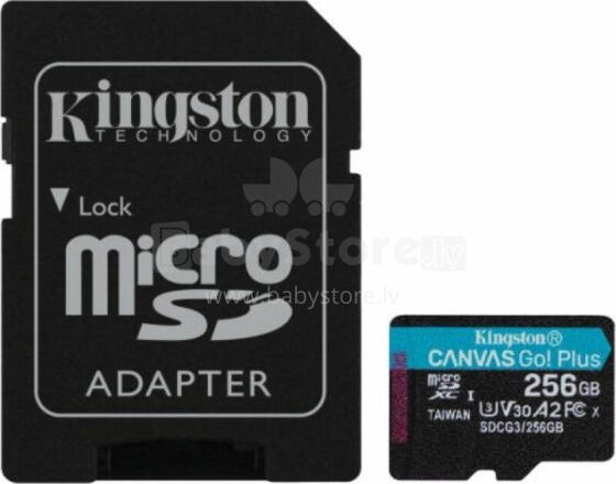 Karta Kingston Canvas Go! Plus MicroSDXC 256 ГБ, класс 10 UHS-I / U3 A2 V30 (SDCG3 / 256 ГБ)