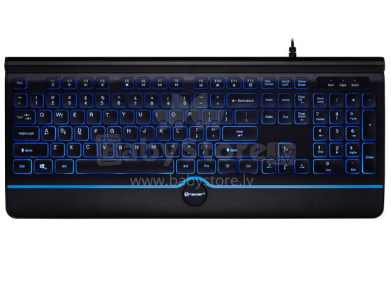 Tracer 47428 Office Pro USB