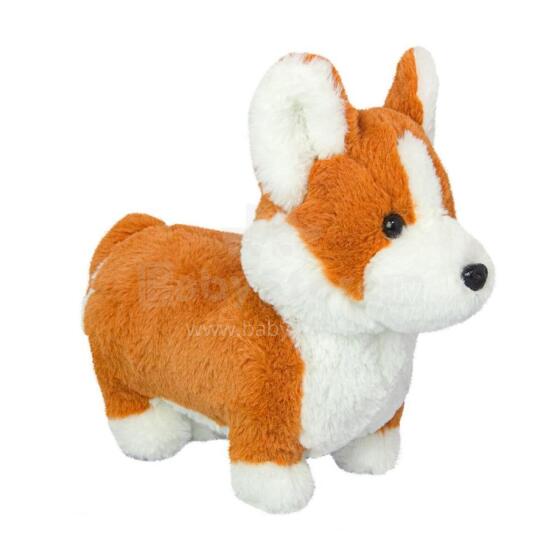 Wild Planet pehme mänguasi, corgi kutsikas 30 cm