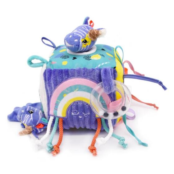 Activity Cube - Kiprokos - The Zebra