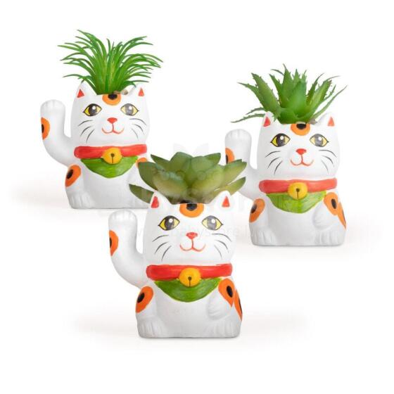 Lucky Cat - Deco Lucky Plants in Pot Ø 5cm, 3 assorted
