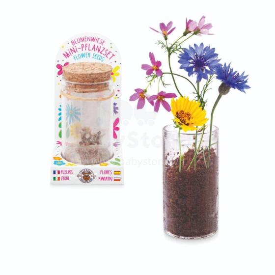 Good Feelings HF - Mini planting set - Flower meadow