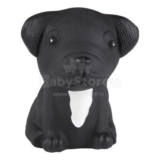 Hevea Puppy Parade Art.32395402 French Bulldog Rotaļlieta suns no 100% dabiska kaučuka 0+ mēn.