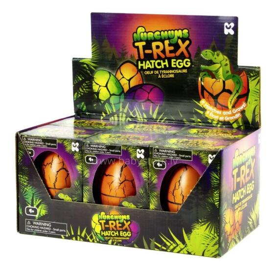 NURCHUMS Large T-Rex Hatching Egg