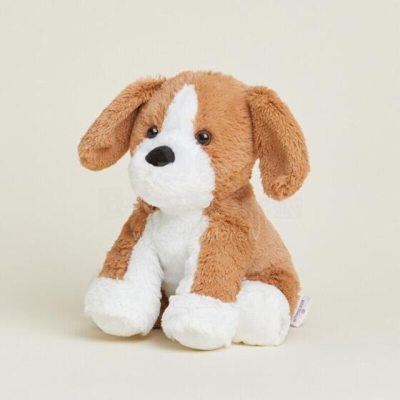 Warmies - Beagle (regular size)