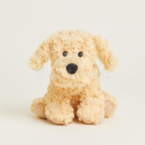 Warmies - Cockerpoo (Junior size)