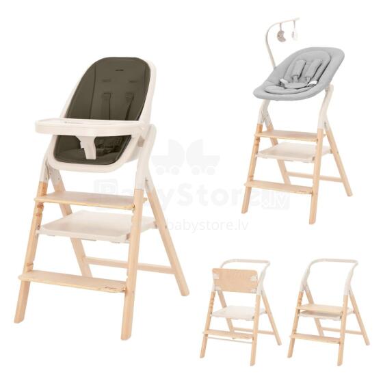 Детский стульчик Carrello ERGO CRL-16701 Pine Green
