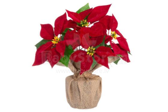 4Living Poinsettia в джутовом горшке красного цвета 26 см дисплей