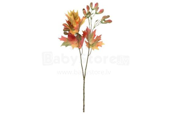 4Living kļavas vienvietīgais 75 cm