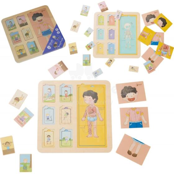CLASSIC WORLD Educational Board Human Body Puzzle Blocks Puzzle for Children Match MONTESSORI 19 pcs.