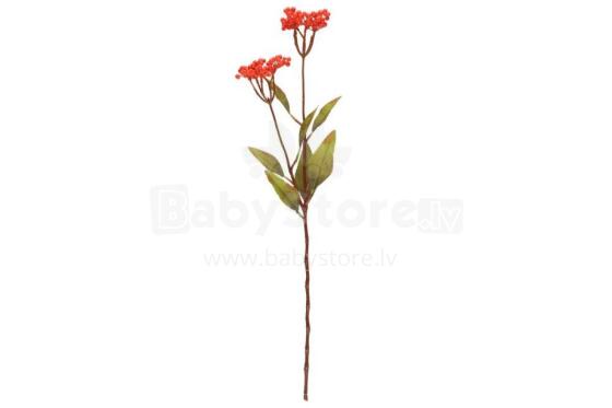 4Living Berry izsmidzināšana oranžā krāsā 75 cm