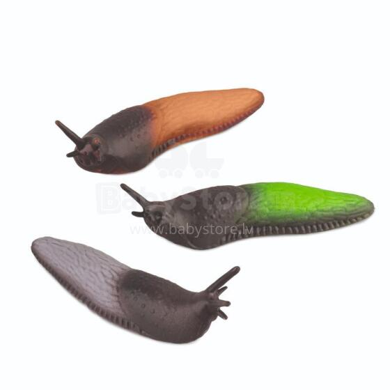 Zoology - Stretchy sand nudibranch