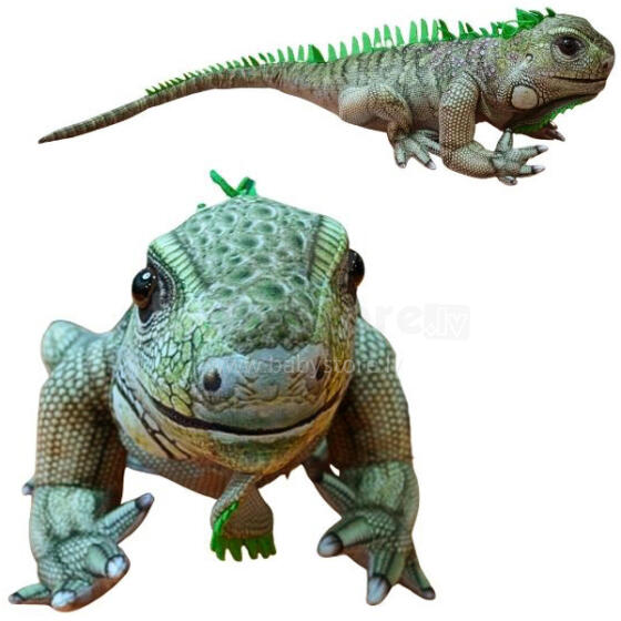 LEGWAN