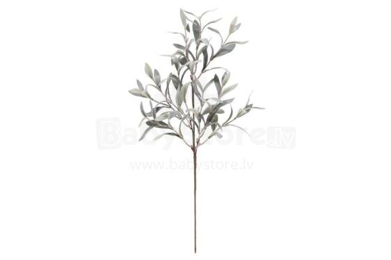 4Living Olīvu stumbrs 60 cm