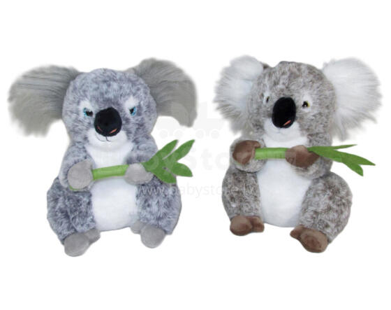 KOALA 2 KOLORY