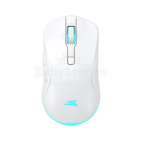 Baracuda BGM-122 Turtle White