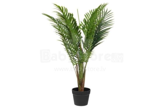 4Living Palmu koks 80 cm