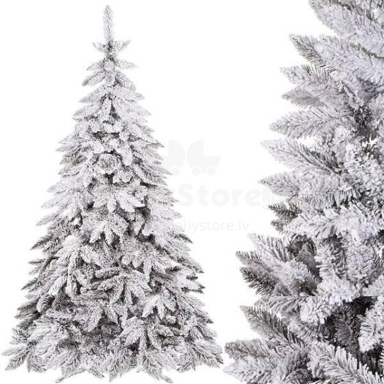 Caucasian snow fir Springos CT0126 250cm