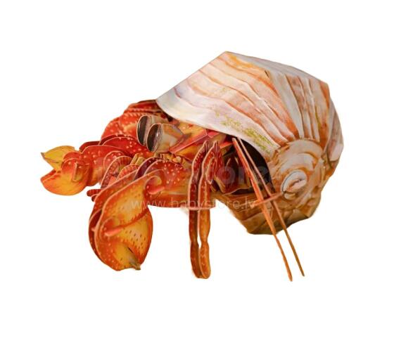 MAKEBUG 3D Paper puzzle Hermit Crab, MB-B-0008