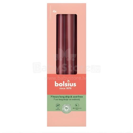 Table candles 4pcs. in a box 245/24mm dark red