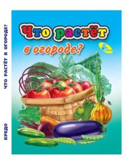 Kids Book Art.26988  Ko dārzā aug?
