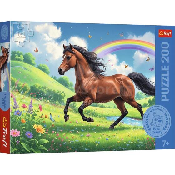 DOSTOJNY KOŃ *200*